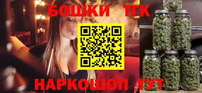 тгк Новодвинск