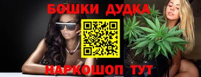 тгк Новодвинск