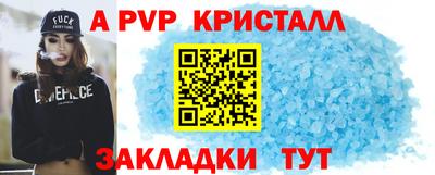 тгк Новодвинск