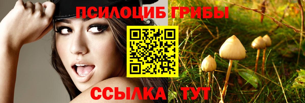 Галлюциногенные грибы Magic Shrooms  Галлюциногенные грибы ЛСД  Сорочинск  Вход с VPN 